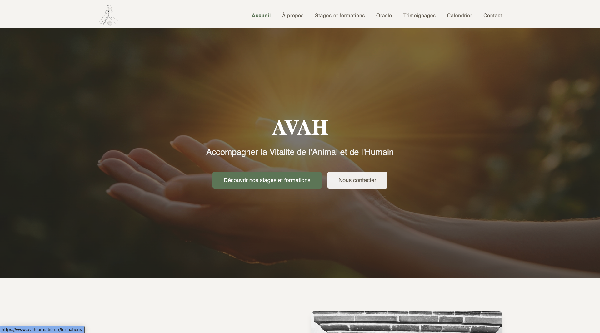 AVAH Formation